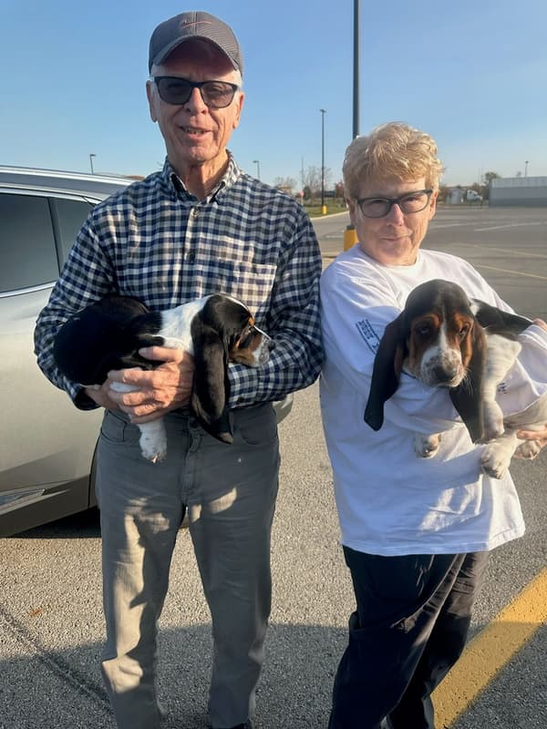 Customer photo of Basset Hound puppy from Tom B.