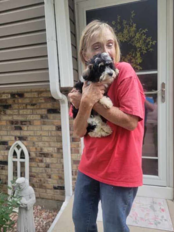 Customer photo of Cavapoo puppy from Christine B. 