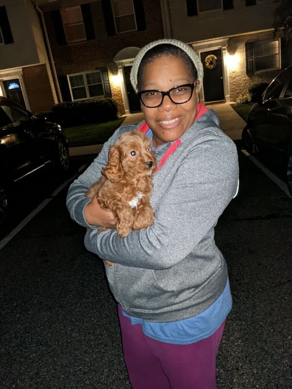 Customer photo of Cavapoo puppy from Tia F.
