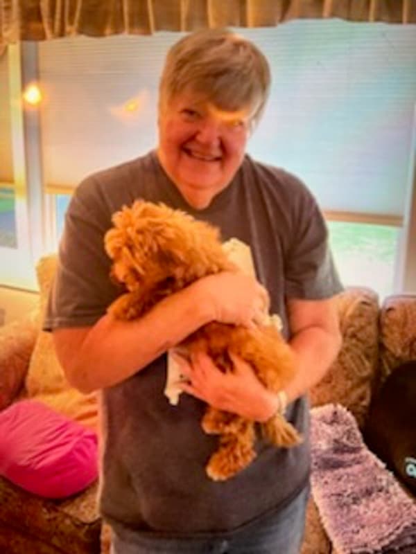 Customer photo of Poo-Ton puppy from Diane B.