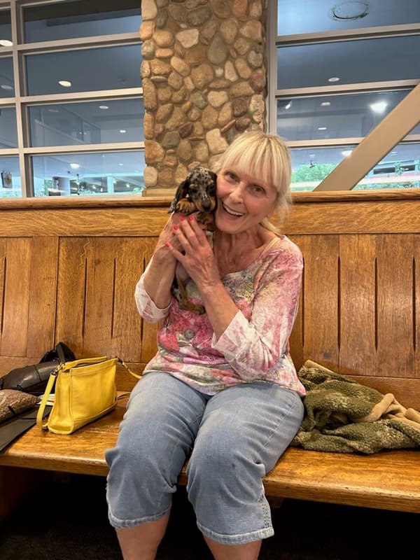 Customer photo of Dachshund, Mini puppy from Linda S.