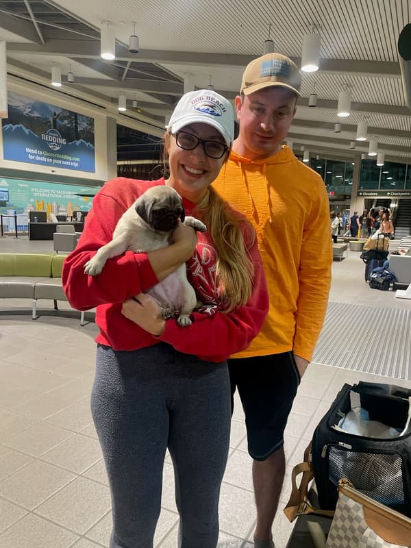 Customer photo of Pug puppy from Dominic W. 