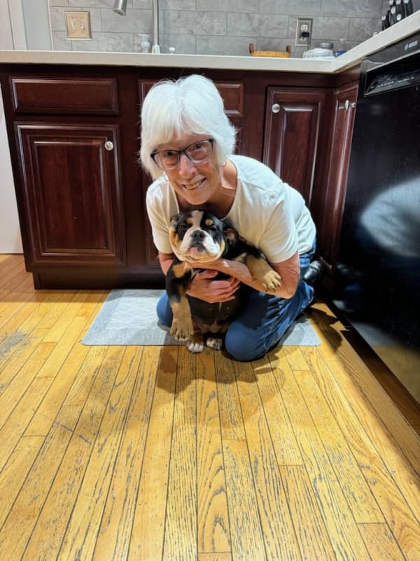 Customer photo of Olde English Bulldogge puppy from Kathleen G. 