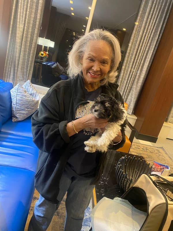 Customer photo of Yorkiepoo - Yorkie Poo puppy from Tonya H.