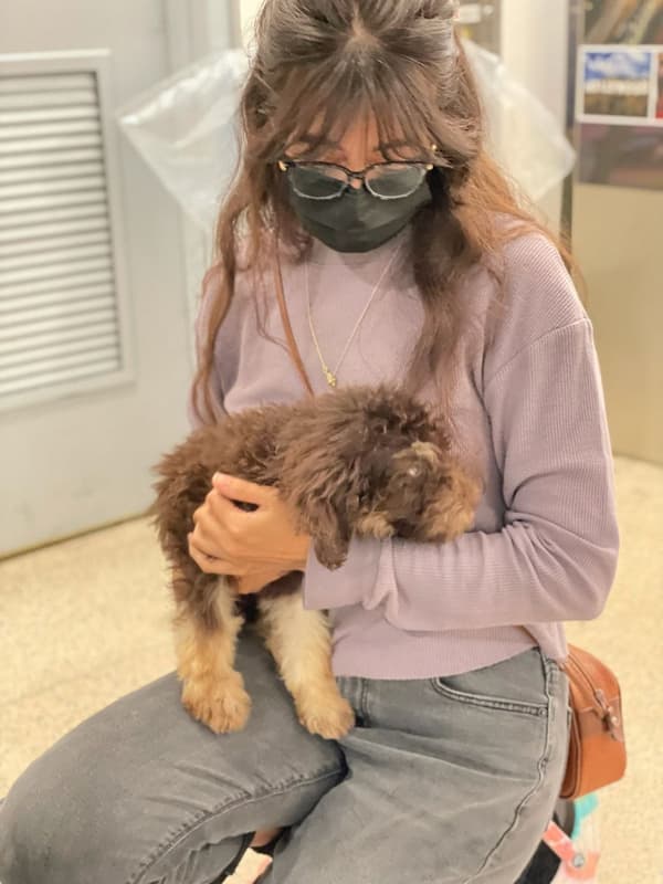 Customer photo of Labradoodle puppy from Walter G.