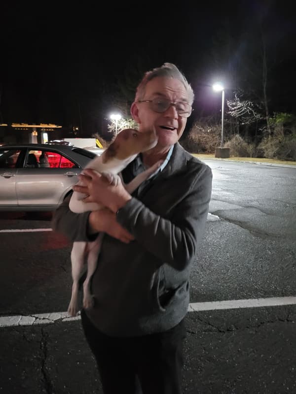 Customer photo of Rat Terrier puppy from Dana D. 