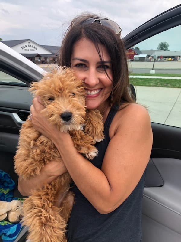 Customer photo of Goldendoodle, Mini puppy from Michelle B.