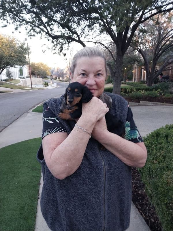 Customer photo of Dachshund, Mini puppy from Sherry B.