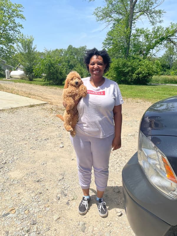 Customer photo of Goldendoodle, Mini puppy from Keylana T.