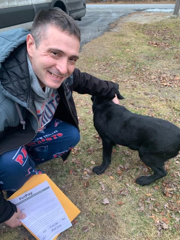 Customer photo of Labrador Retriever puppy from Jaime C.