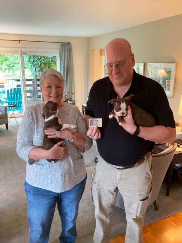 Customer photo of Boston Terrier puppy from Charles D.