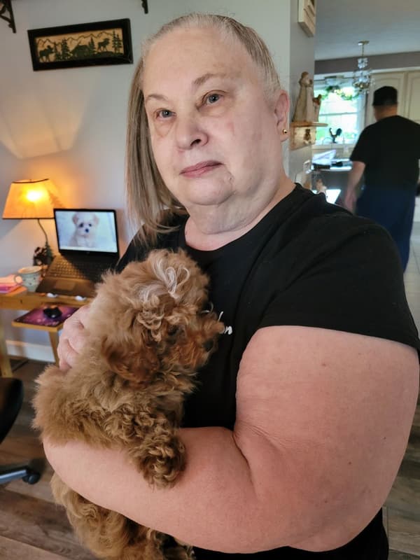 Customer photo of Poodle, Toy puppy from Kathleen C.