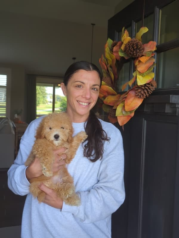 Customer photo of Malti Poo - Maltipoo puppy from Nina E.