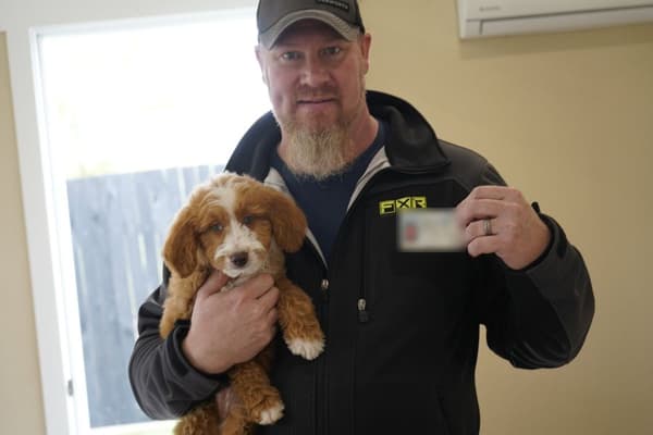 Customer photo of Goldendoodle, Mini puppy from Jacob C.