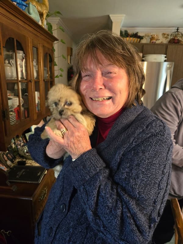 Customer photo of Shih Tzu puppy from Lynn M.