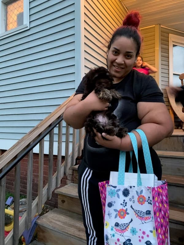 Customer photo of Havanese puppy from Tahisha R.