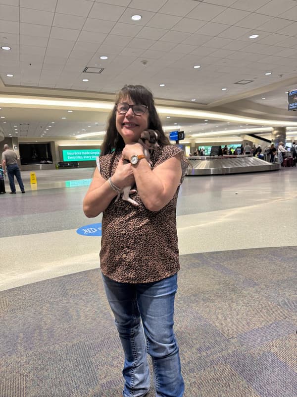 Customer photo of Chihuahua puppy from Loretta G.