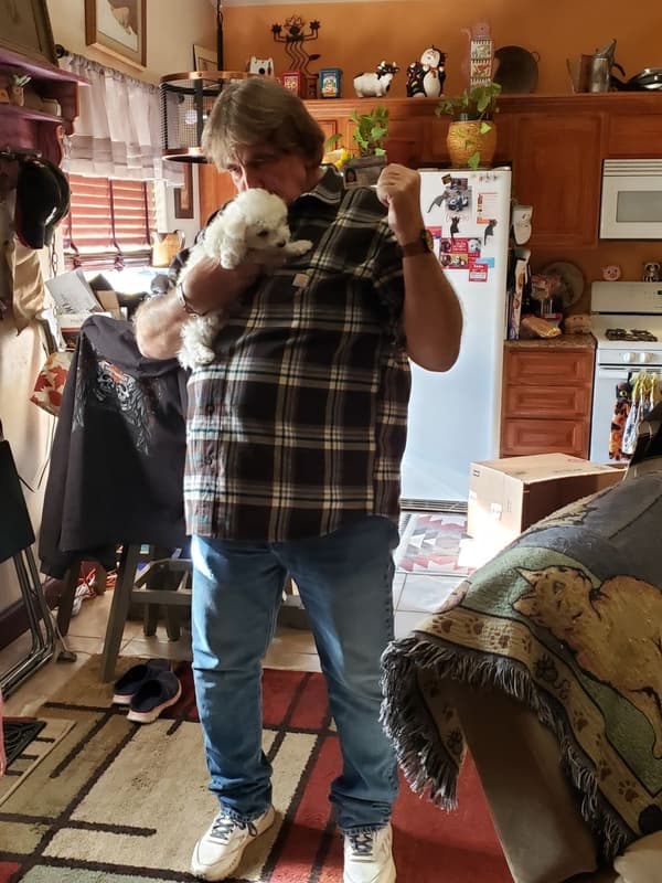 Customer photo of Bichon Frise puppy from Jack D.