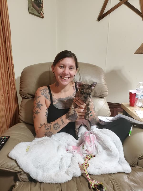 Customer photo of Frenchton puppy from Kimberly H.