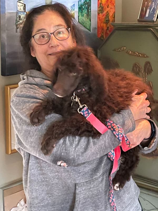 Customer photo of Poodle, Standard puppy from Stacey M.