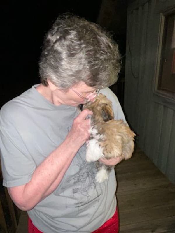 Customer photo of Havanese puppy from Jamie K.