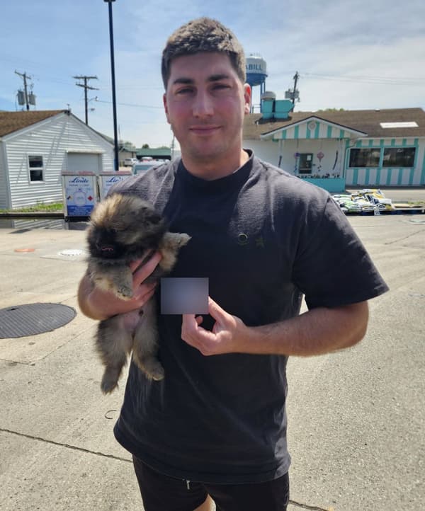 Customer photo of Pomeranian puppy from Tyler K.