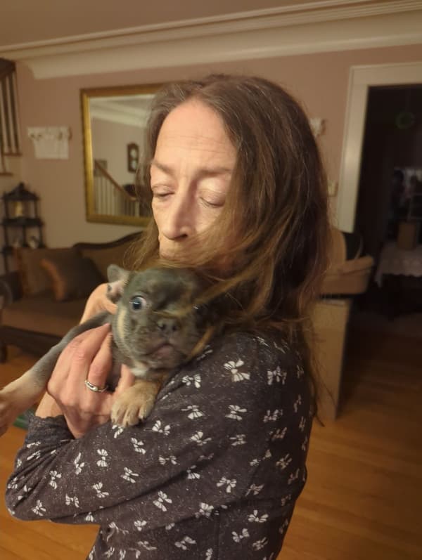 Customer photo of French Bulldog puppy from Teri P.