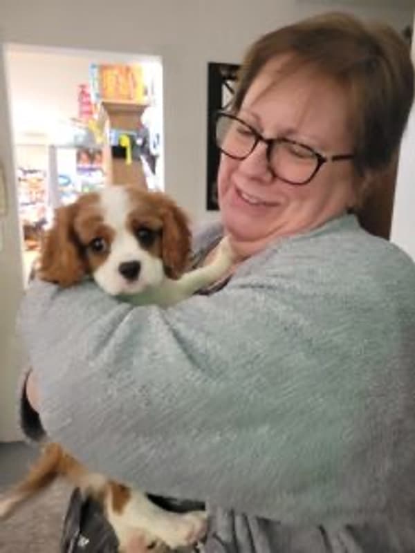 Customer photo of Cavalier King Charles Spaniel puppy from Gail M.