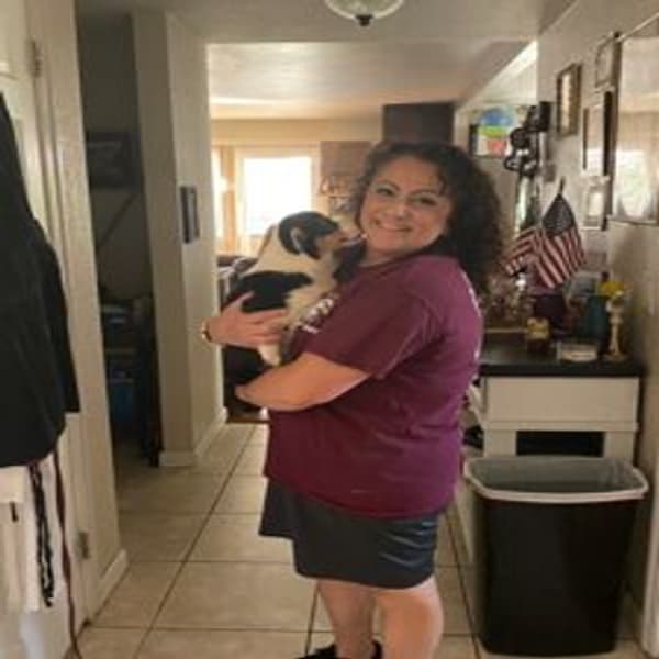 Customer photo of Corgi, Pembroke Welsh puppy from Eva F.