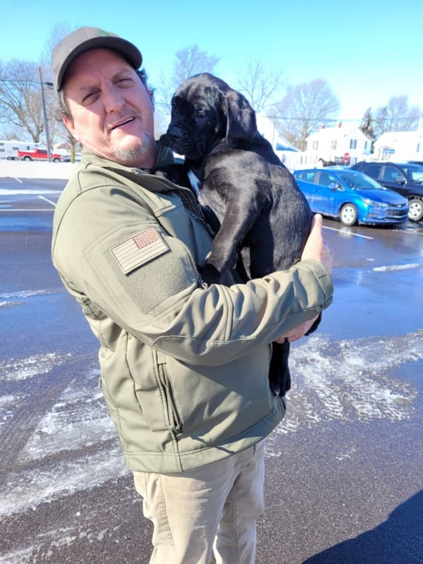 Customer photo of Cane Corso Mastiff puppy from Donna V.