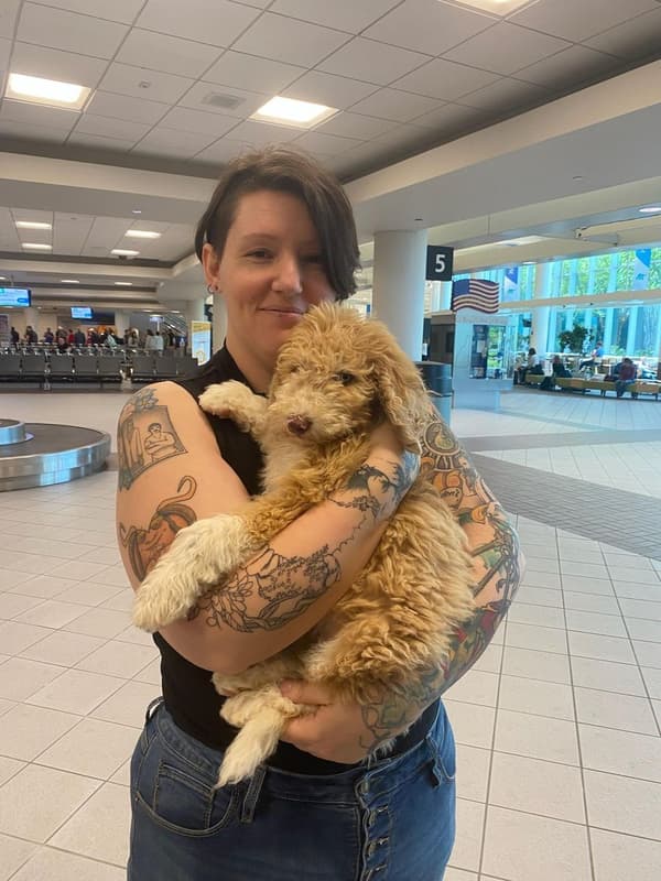 Customer photo of Aussiedoodle puppy from Brenda G.