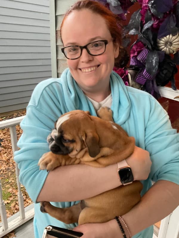 Customer photo of English Bulldog puppy from Elizabeth F.