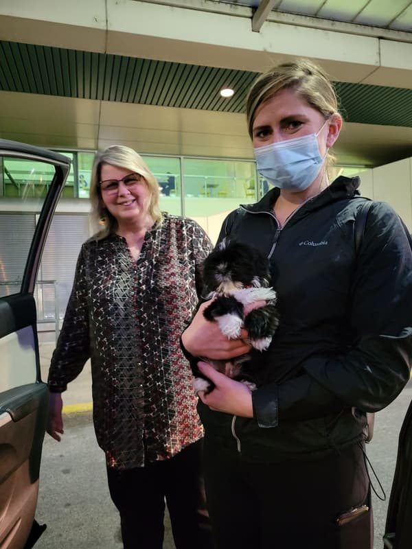 Customer photo of Shih Tzu puppy from Judy O.