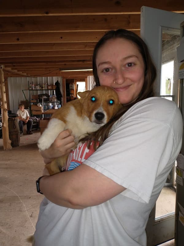 Customer photo of Corgi, Pembroke Welsh puppy from Jenna K.