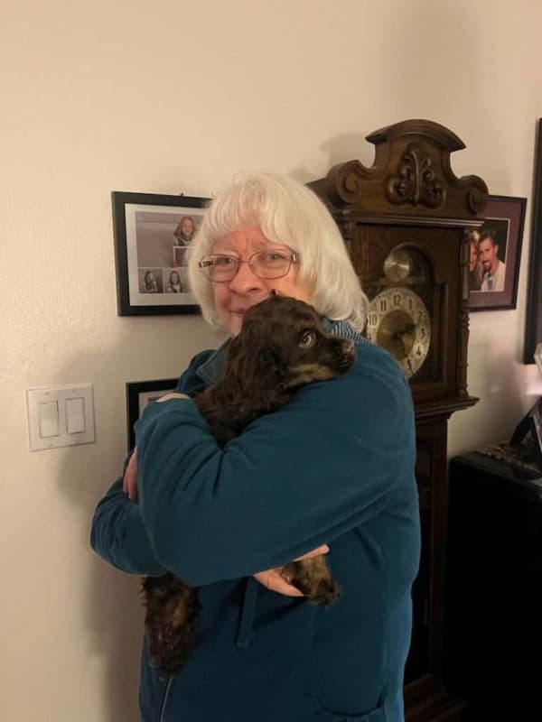 Customer photo of Cocker Spaniel puppy from Margaret L.