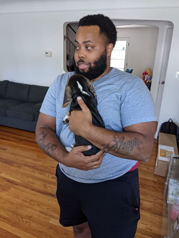 Customer photo of Beagle puppy from Rayneesha H.