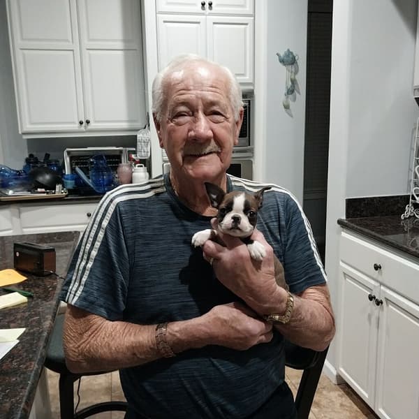 Customer photo of Boston Terrier puppy from Paul B.