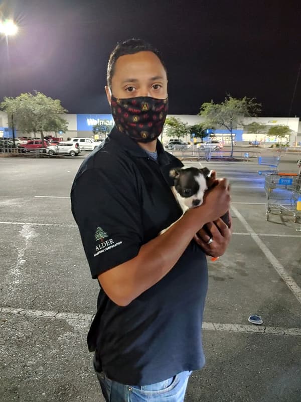 Customer photo of Boston Terrier puppy from Colin Z.