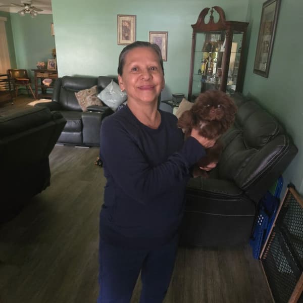 Customer photo of Shih Tzu puppy from Mary W.