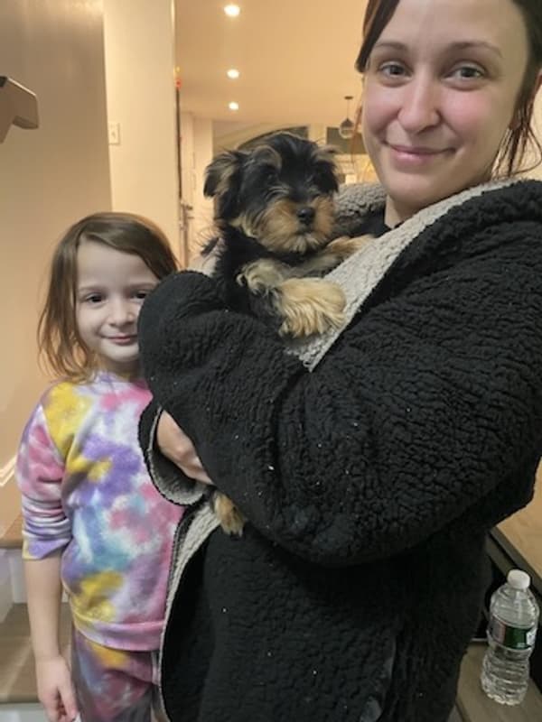 Customer photo of Yorkiepoo - Yorkie Poo puppy from Eirini L.