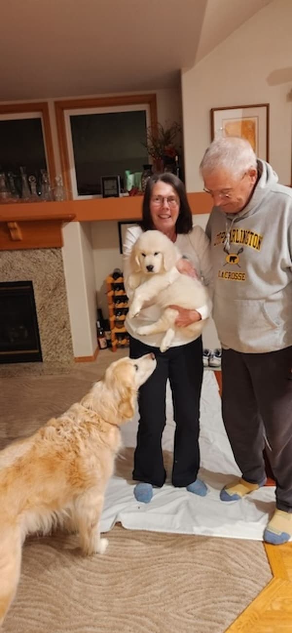 Customer photo of Golden Retriever puppy from George S.