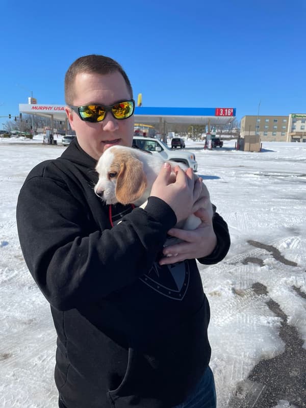 Customer photo of Beagle puppy from Ashley H.