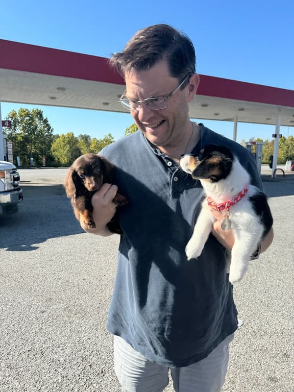 Customer photo of Dachshund, Mini puppy from Jeff H.