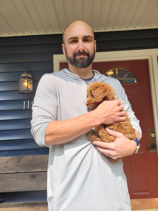 Customer photo of Goldendoodle, Mini puppy from Coala R.