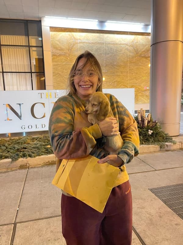 Customer photo of Dachshund, Mini puppy from Samantha K.