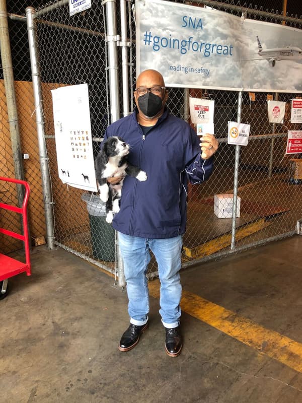 Customer photo of Labradoodle puppy from Joseph J. 