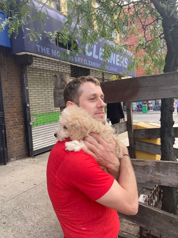 Customer photo of Poodle, Miniature puppy from Sean R.