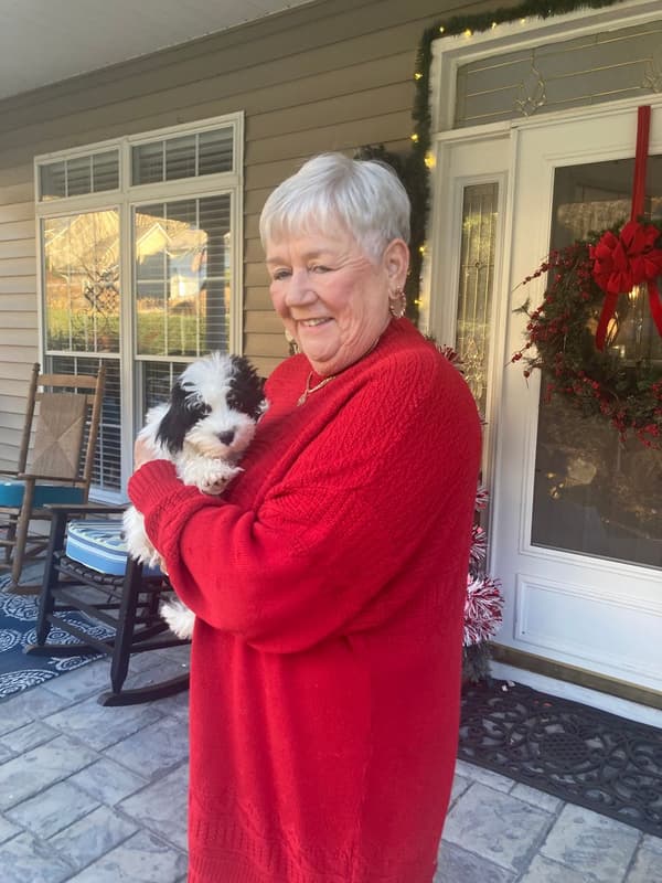 Customer photo of Havanese puppy from Sandra H.