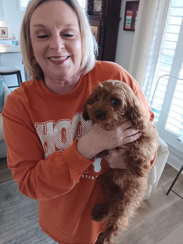 Customer photo of Cavapoo puppy from Trecia H.
