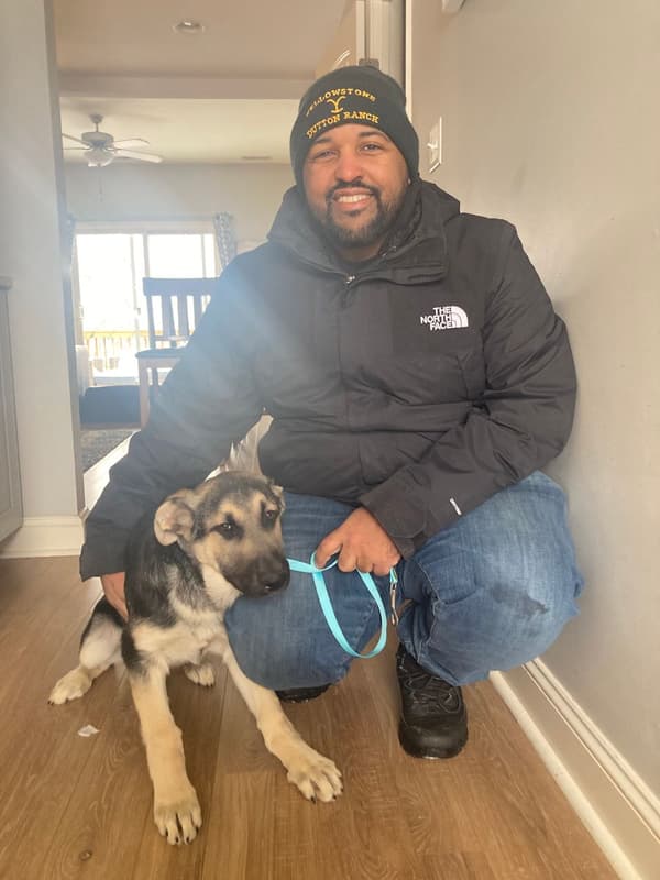 Customer photo of German Shepherd puppy from Robert C.